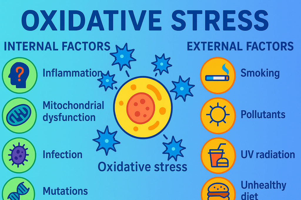 💥 Oxidative Stress: What It Is, What It Does & How to Fight It